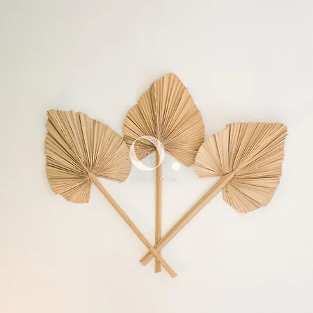 Coc - La Belle Etoile Apartament