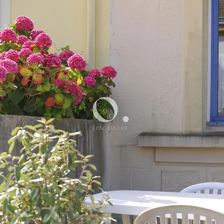 Coc - La Belle Etoile Wissant